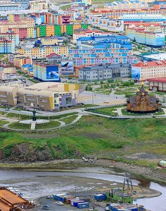 Small anadyr